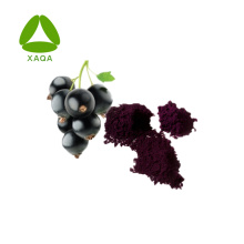 Black Currant Extract Anthocyanins 36% Powder Price