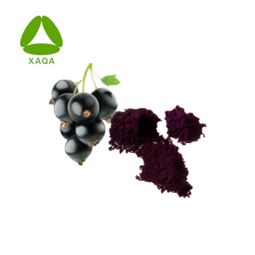 Black Currant Extract Anthocyanines 36% Poederprijs