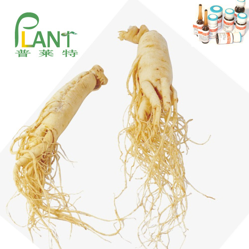 98% Gingseng-Extrakt Pulver Ginsenosid rg3 rh2