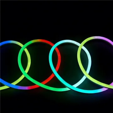 Custom LED Neon Lights with Powered Lamp - Led Neon Light