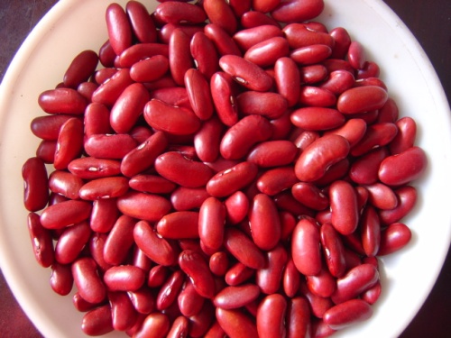 wholesale Polished Organic Non-GMO Dark Red Kidney Beans