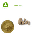 Skin Care Products Cosmetic Ingredients Ellagic Acid Powder