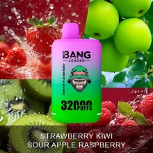 BANG LEADER 32000 Puffs Vape Wholesale Germany