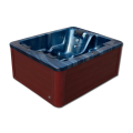 Hydro Outdoor Adults & Child Jacuzzi Swin SPA