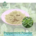 Высушенный распылением порошок мяты перечной, мята, функциональное пищевое применение