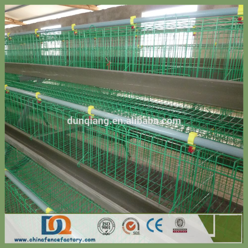 PVC Coated Welded Wire Mesh Racing Chicken Cage for Sale
