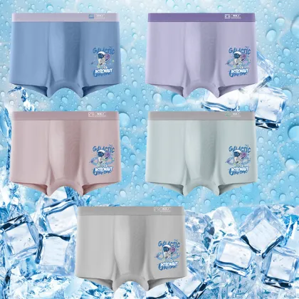Wholesale Hot Sale: XL-5XL Boys' Comfortable Cotton Underwear for Teen Boys and Kids