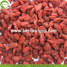 Fábrica nutricional secos Wolfberries orgánicos crudos