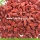 Factory Nutrition Dried Raw Organic Wolfberries