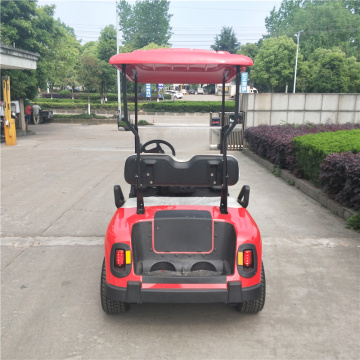 carro de golf de gas de dos asientos 3000cc para la venta