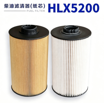 Diesel Filter Paper Element Replacement