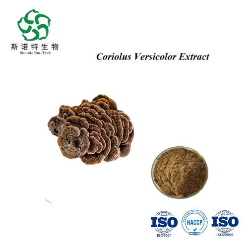 Animal Husbandry Materials Hot selling Coriolus versicolor powder with Polysaccharide Manufactory