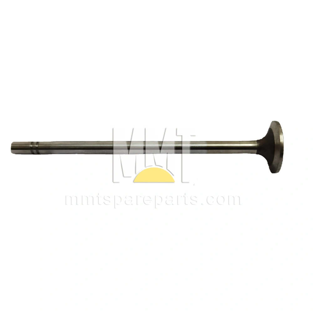 Type 252 Inlet 252-7803 2527803 Inlet Valve for C9 Engine D6R Track Type Tractor China ...