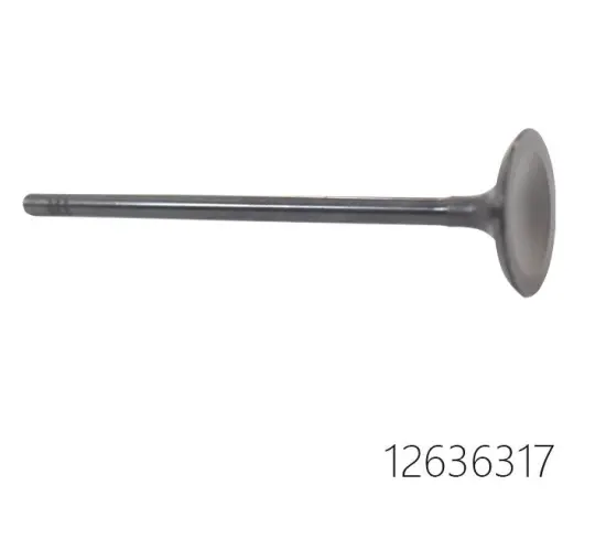Wholesale Price Auto Parts Intake Valve 12636317 for Chevrolet and Buick Models