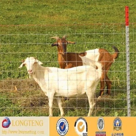 sheep fence( hot sale)/ fence for goat/wholesale bulk goat fence