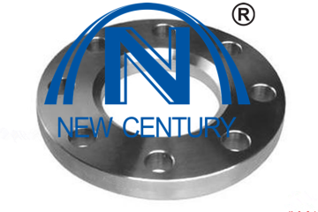 BS10 forged standard flange