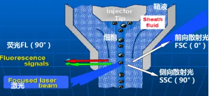 Advanced technology flow cytometry