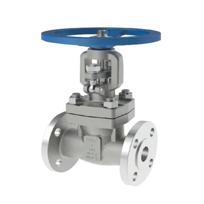ASME titanium high pressure globe valve