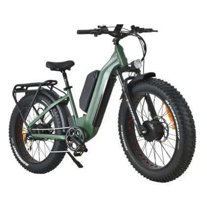 1500W Powerful Fat Tire Dual Motors AWD Electric City Bike