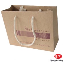 Kraft Brown Paper Bags With Twist Handles