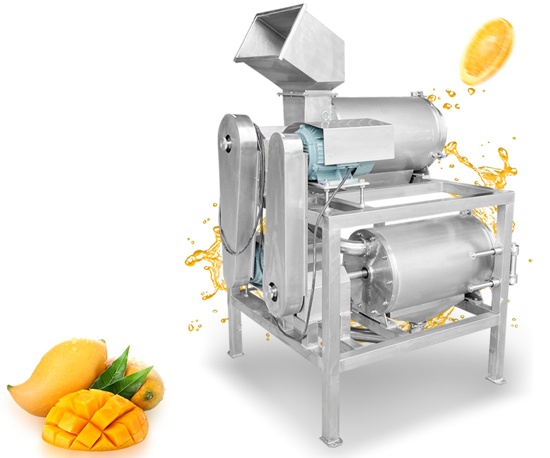 Mango pulper machine