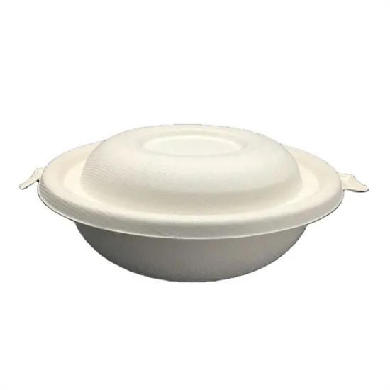 Custom Strong Sugarcane Fiber Paperbox Box of Paper