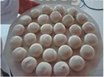 Industrial 30PCS Flour Kneader Semi-Automatic Bread Making Machinery