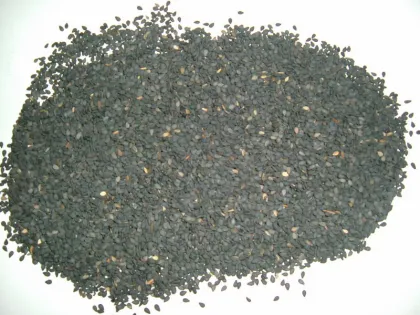 Black Sesame Seed Extract Sesamin Powder