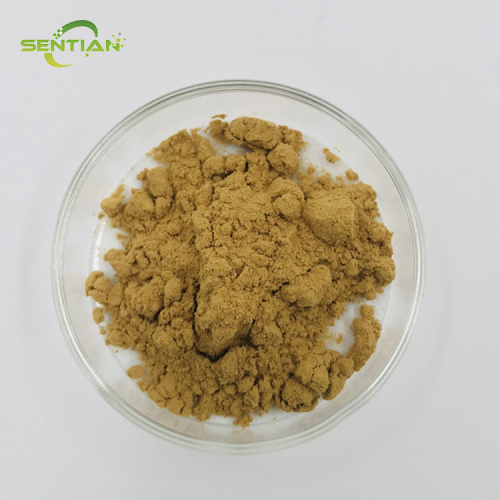 High Quality Epimedium Extract Supplement