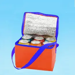 2013 New design Promotional Lunch Cooler Bag