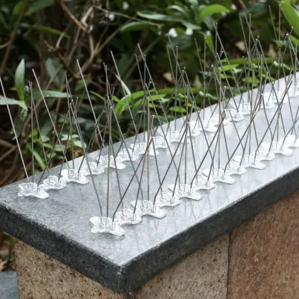 Wholesale Anti-Flying Bird Wall Spikes for Effective Pigeon and Bird Control in Gardens