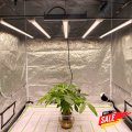 Samsung Lm281B Grow Light