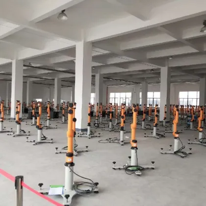 Universal Cobot Robot Aubo E10 6-Axis Collaborative Robot Arm for Welding and Palletizing