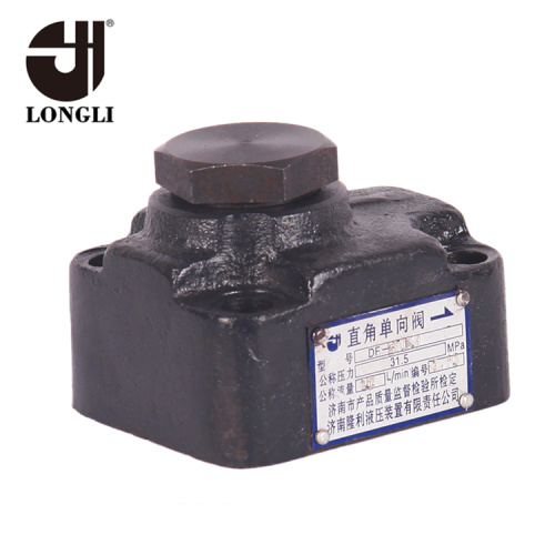 Straight Plate Cast Iron Non Return Check Valve