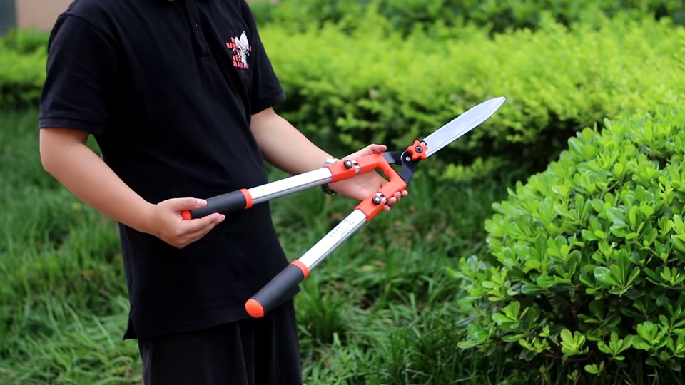 Household use Garden tools hedge pruning shears hedge shears bypass pruner