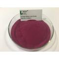 Direct Sales Bilberry Fruit Powder
