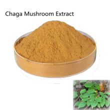 Buy online active ingredients Chaga Mushroom Extract