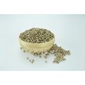 New Crop Hemp Seeds for Planting