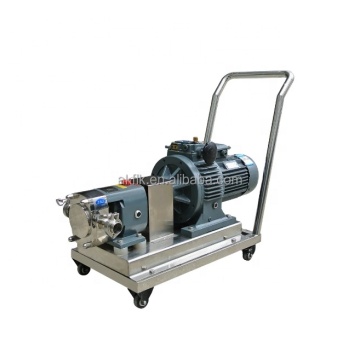 SUS316 Rotor Pump for High Viscosity Liquids