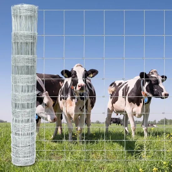 Galvanized Farm Fence: Cheap Steel Wire Mesh for Cattle and Livestock