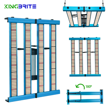 King Brite 240W Samsung LM281B+ Pro LM301H Spektrum Penuh LED