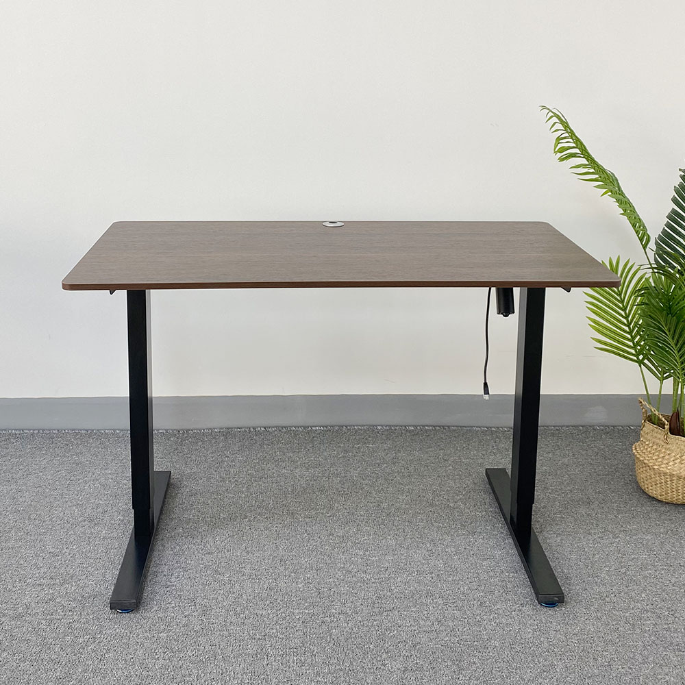 Single Motor Standing Desk