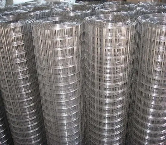 304 Stainless Steel Welded Wire Mesh for Breeding and Isolation - Fence Protection Mesh Netting