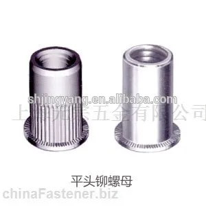 China Professional Manufacturer Supply rivet nuts-flat head rivet nuts