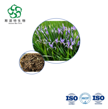 Chiết xuất Kalimeris Indica - Số lượng lớn 10: 1 để bổ sung sức khỏe tiêu hóa và hô hấp