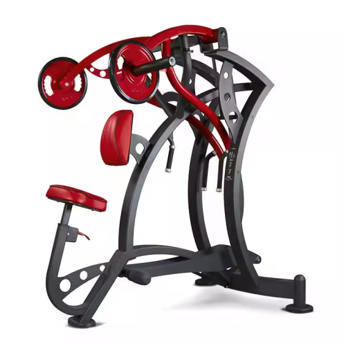 Low Row Professional Gym Equipment