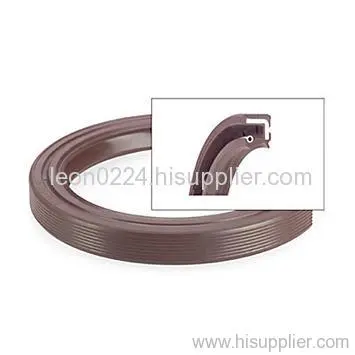 Nitrile Oil Seals 