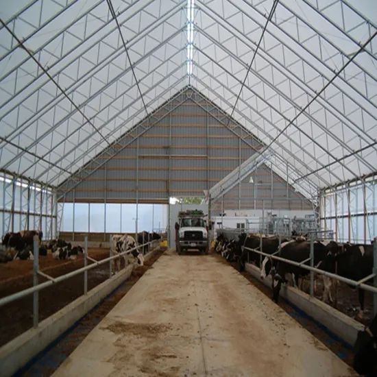 low structural steel cow shed cost