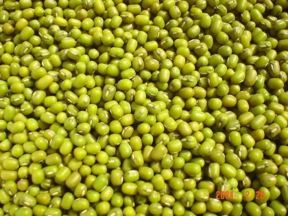 Mung Green Beans Non-GMO