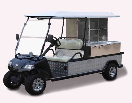 Electric Utility Car/Cart/Buggy, Sightseeing/Utility Bus (DEL3042GCX, 1 2-Seater)